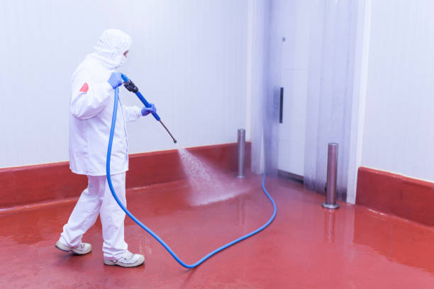 Best Playground Equipment Cleaning  in Rayre, MO